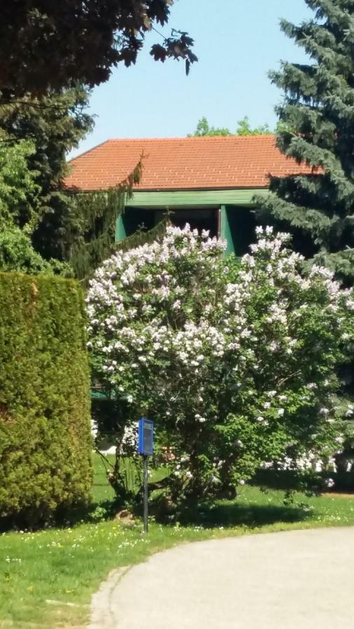 Gasthof Manhalter Pitten エクステリア 写真